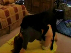 Horny dog fucks me hard